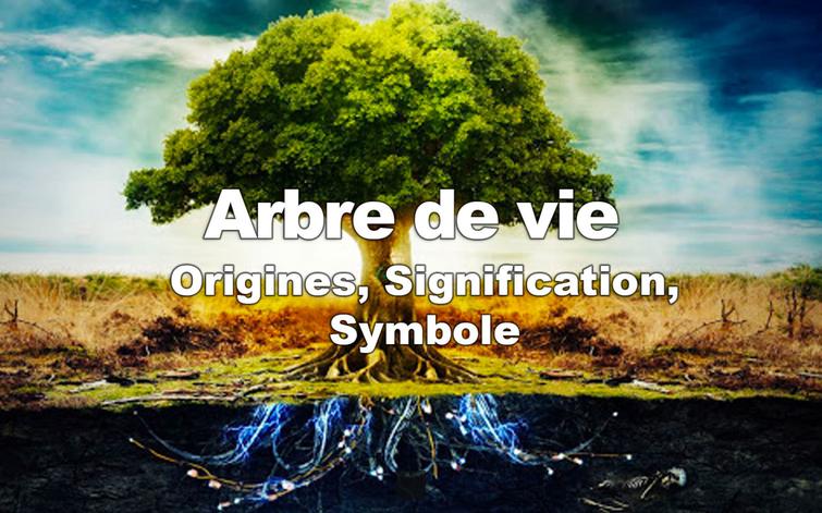 Découvrez l'Arbre de Vie : Origines, Symboles et Significations Fascinantes