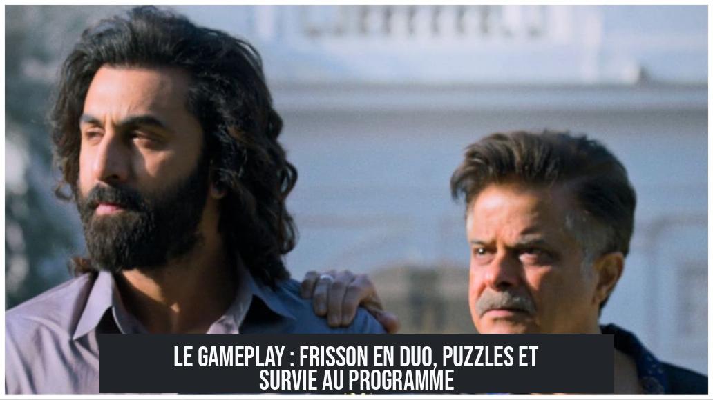 Le Gameplay : Frisson en Duo, Puzzles et Survie au Programme