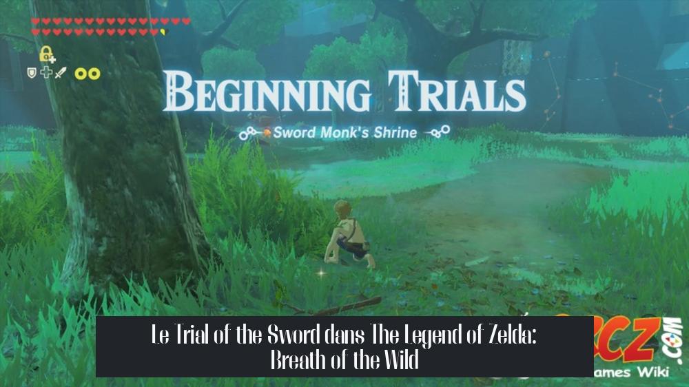 Le Trial of the Sword dans The Legend of Zelda: Breath of the Wild