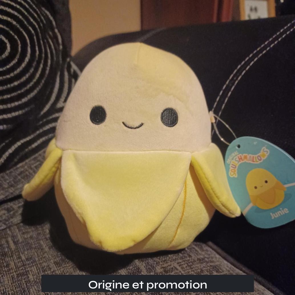 Origine et promotion