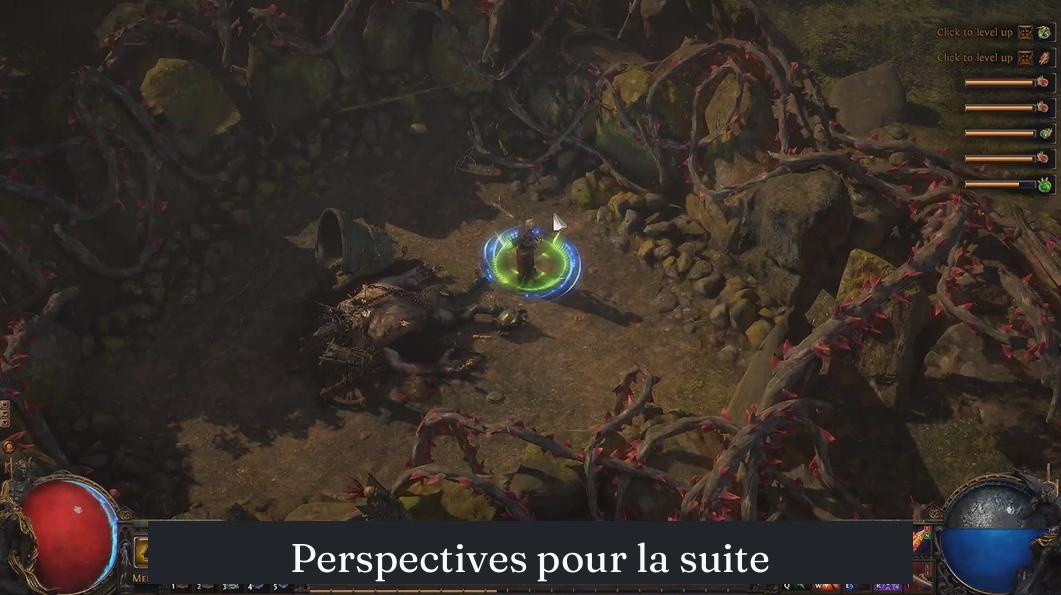 Perspectives pour la suite