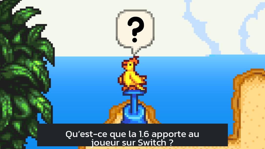 Qu’est-ce que la 1.6 apporte au joueur sur Switch ?