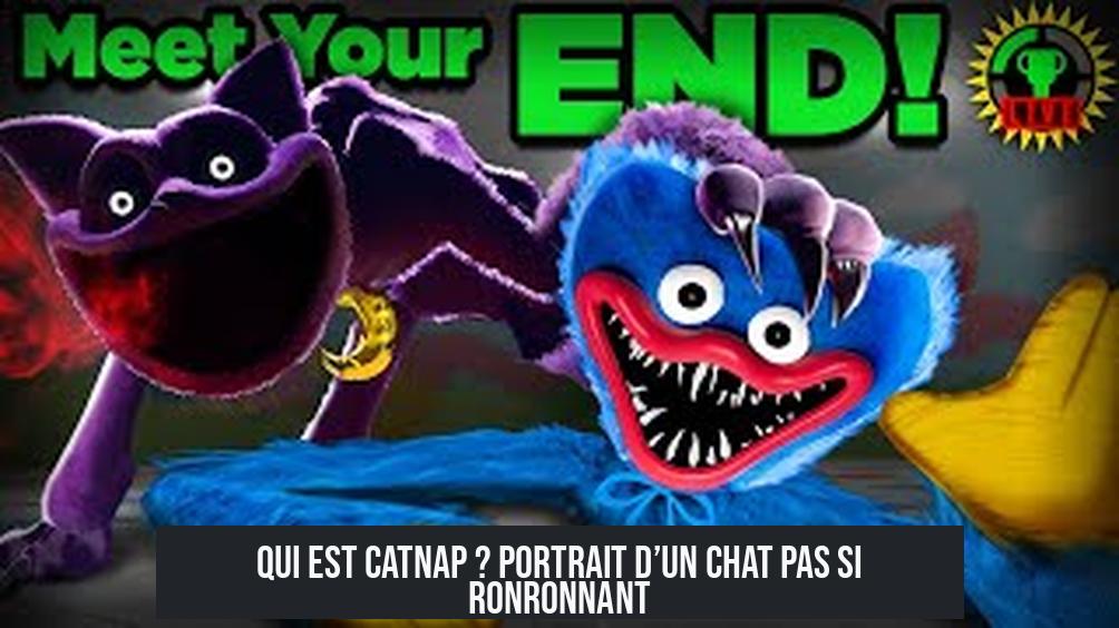 Qui est CatNap ? Portrait d’un Chat Pas Si Ronronnant