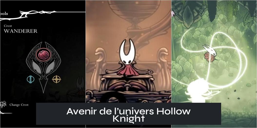 Avenir de l’univers Hollow Knight