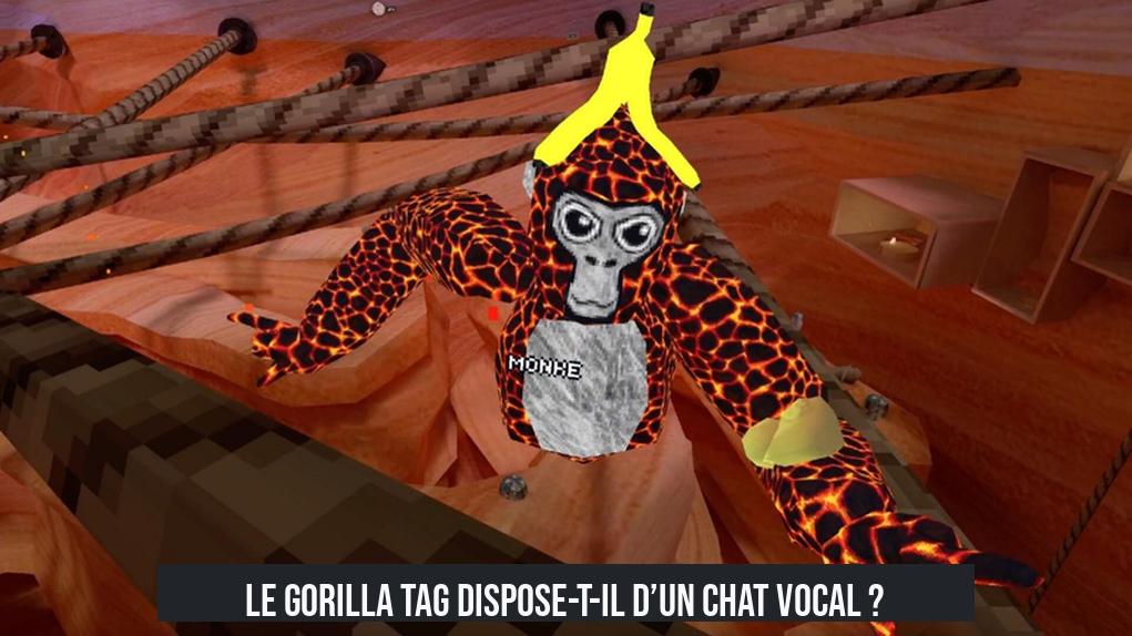 Le Gorilla Tag dispose-t-il d’un chat vocal ?