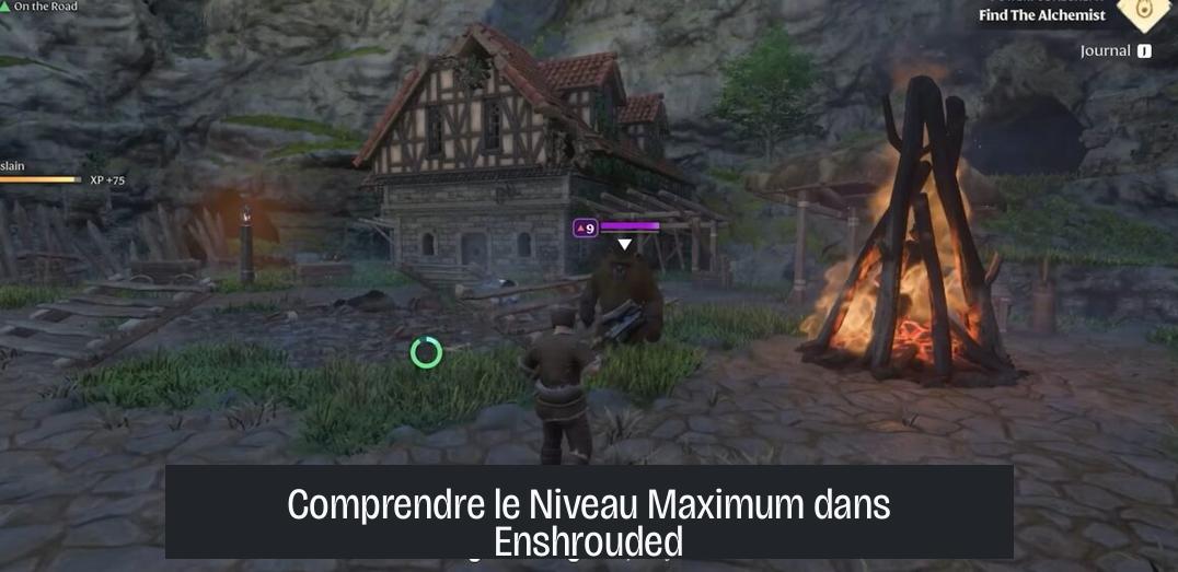 Comprendre le Niveau Maximum dans Enshrouded