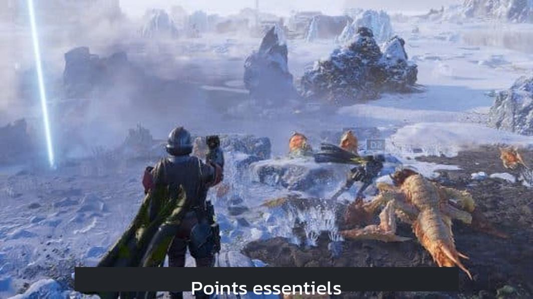 Points essentiels