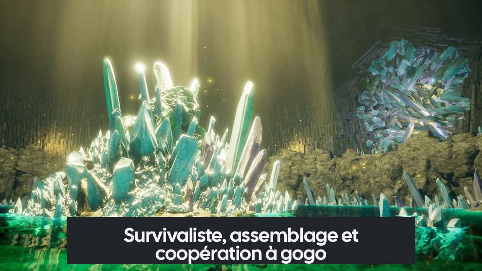 Survivaliste, assemblage et coopération à gogo