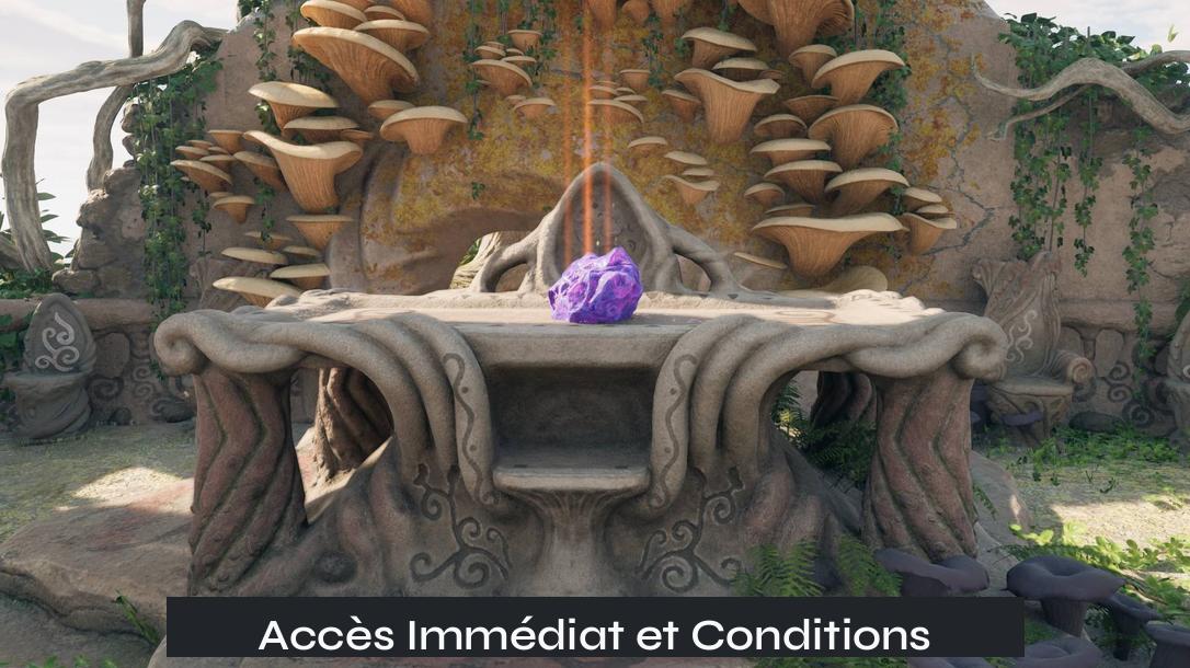 Accès Immédiat et Conditions