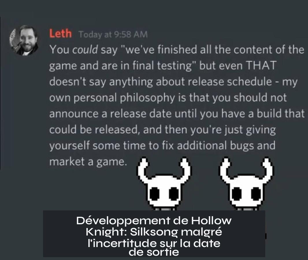 Développement de Hollow Knight: Silksong malgré l'incertitude sur la date de sortie