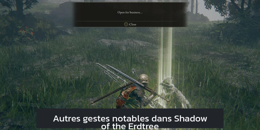 Autres gestes notables dans Shadow of the Erdtree