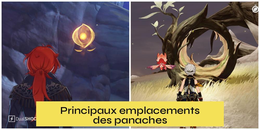 Principaux emplacements des panaches