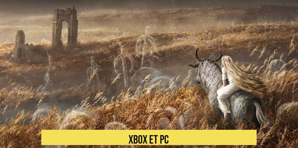 Xbox et PC