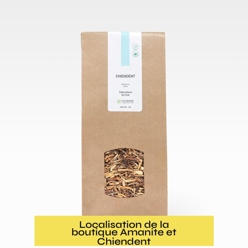 Localisation de la boutique Amanite et Chiendent