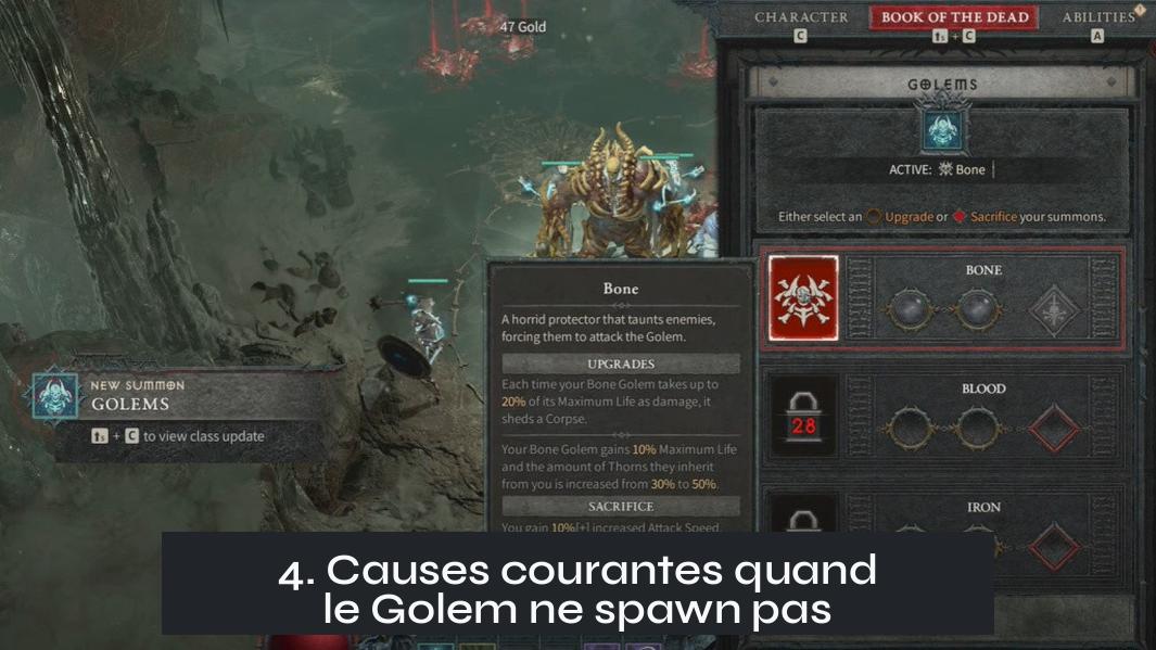 4. Causes courantes quand le Golem ne spawn pas