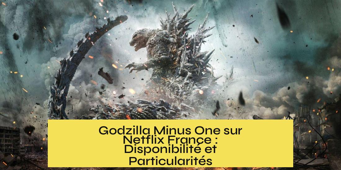 Godzilla Minus One sur Netflix France : Disponibilité et Particularités