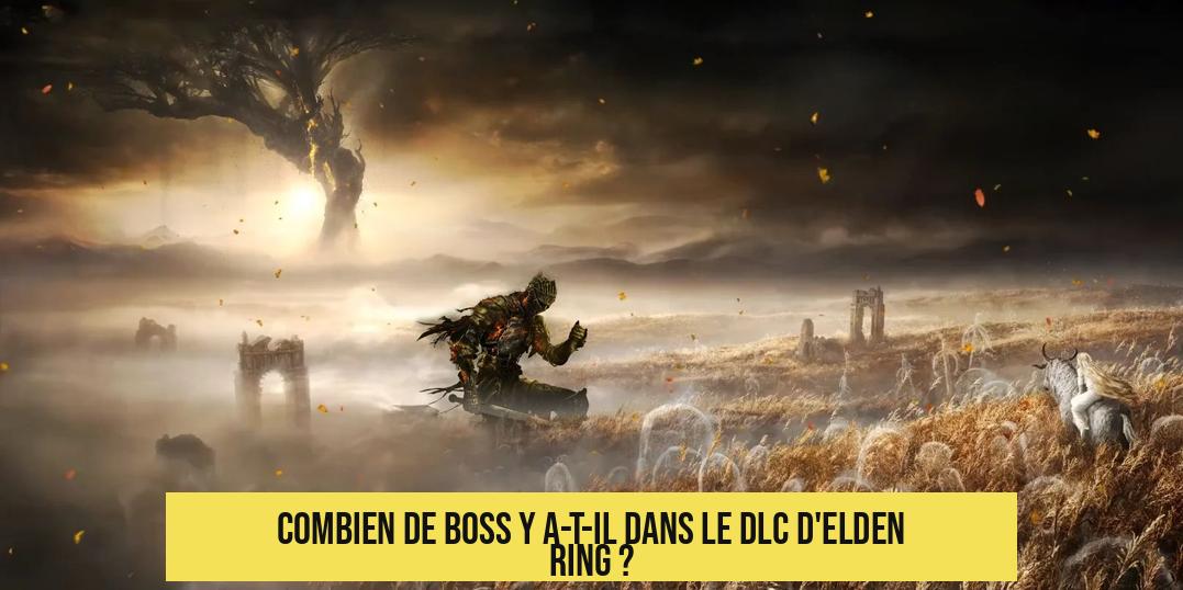 Combien de boss y a-t-il dans le DLC d'Elden Ring ?