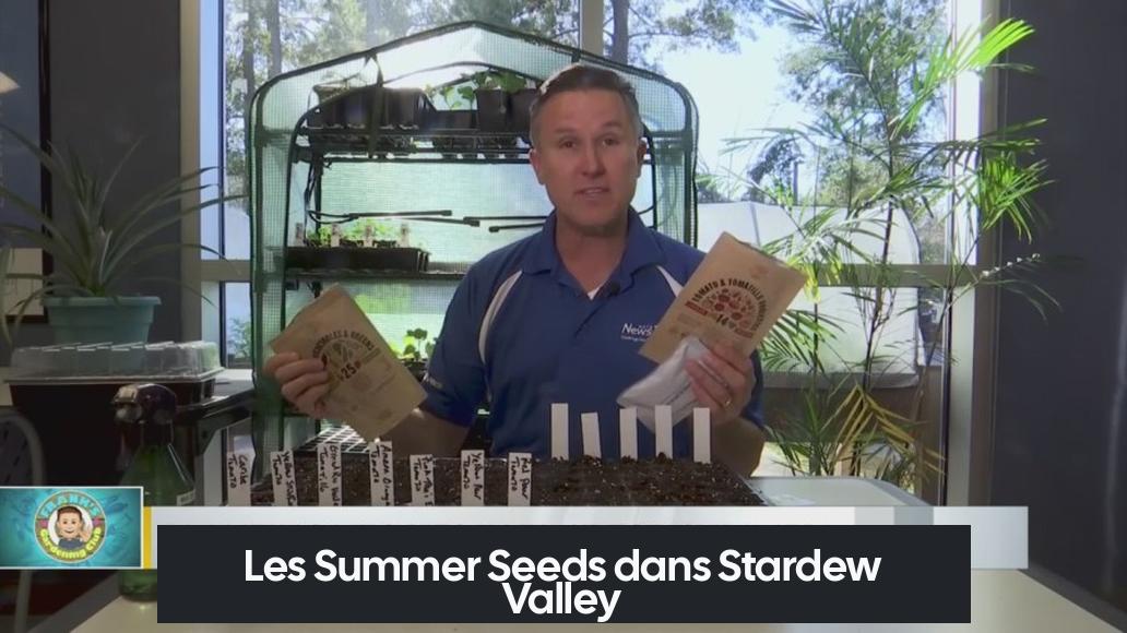 Les Summer Seeds dans Stardew Valley
