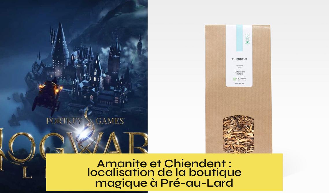 Amanite et Chiendent : localisation de la boutique magique à Pré-au-Lard